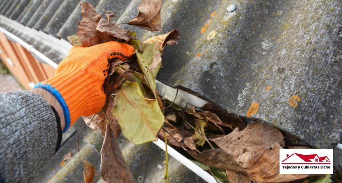 desatascodecanalonesenelche alicante 1920w